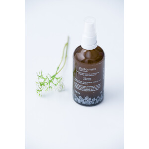 Hydrating dewy fixing spray